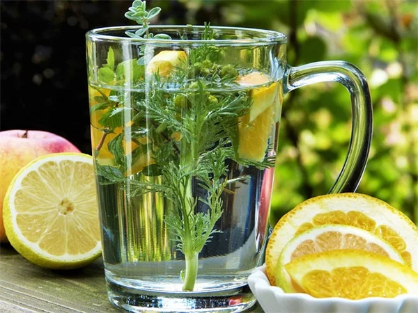 エンジェルバインの鉢植え育て方！初心者でも失敗しない7つのコツ