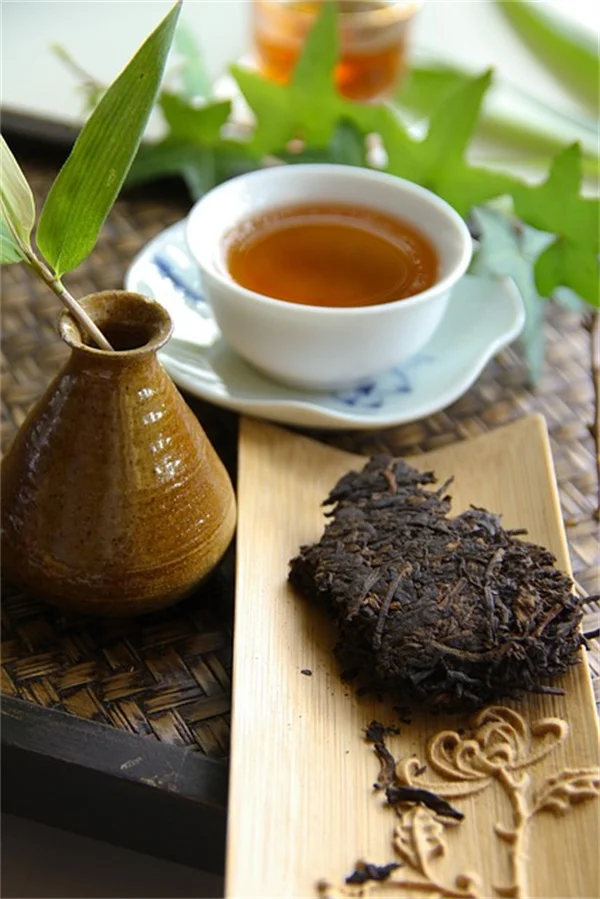 ほうれん草の知られざる歴史と栄養価の真実