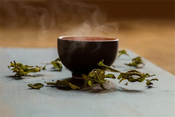 五月に植えたい！手間いらずで映えるコンテナ植物の夢の組み合わせ5選