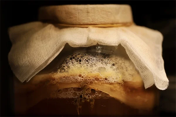 一年草で失敗しないための8つのおすすめ品種とコツ