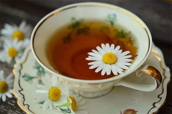 水仙の花後、葉っぱはどうする？縛るのは実はNGです